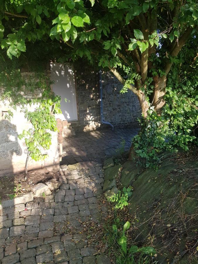 Elevage De La Hurie Saint-Nicolas-de-Pierrepont Zewnętrze zdjęcie